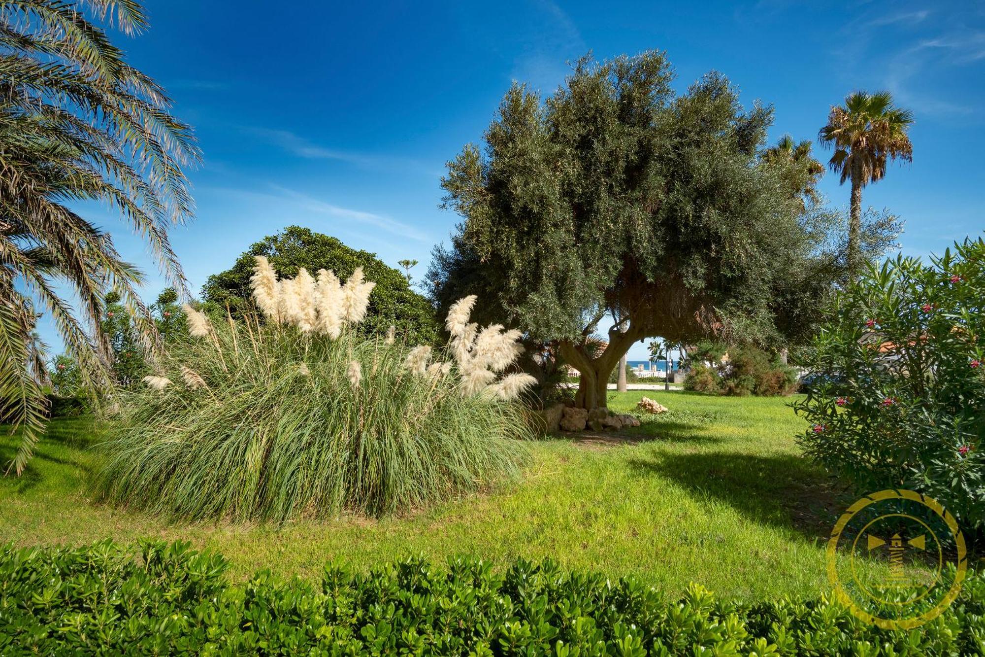 Lighthouse Dunamar لا ماتا المظهر الخارجي الصورة